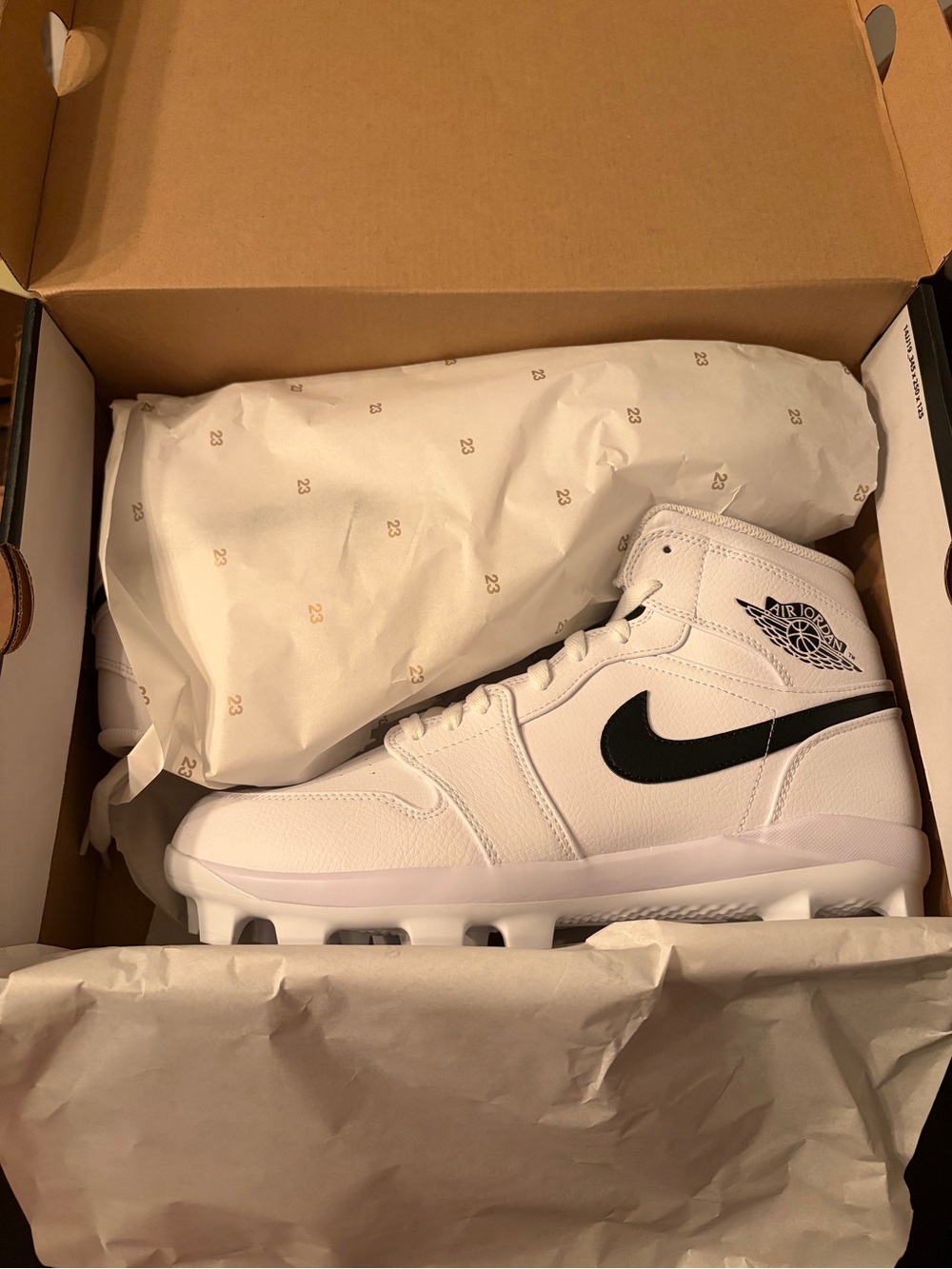 Jordan 1 Retro MCS Label